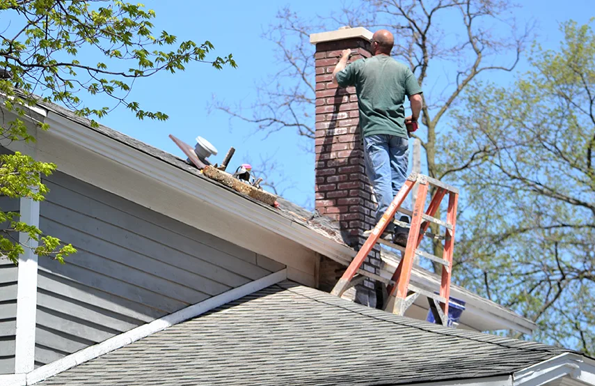 Chimney & Fireplace Inspections Services in Three Lakes, FL